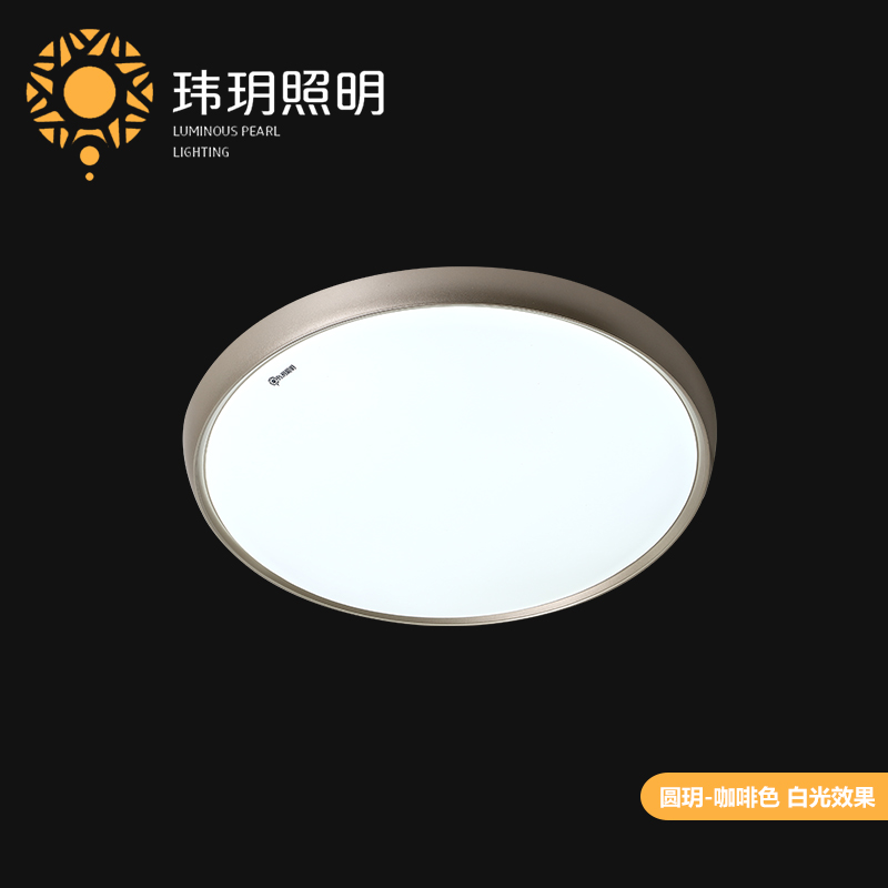 led吸顶灯品(pin)牌