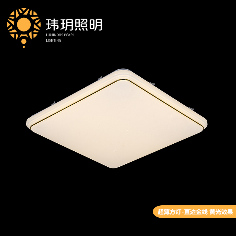 艺(yi)术吸(xi)顶灯(deng)