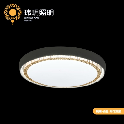 led吸(xi)顶(ding)灯(deng)厂家(jia)